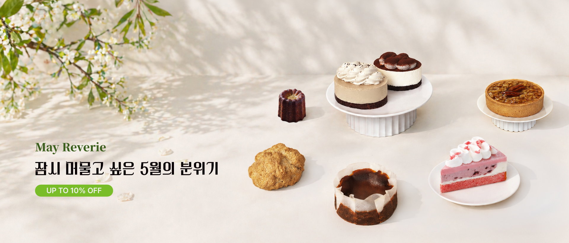 5월 기획전