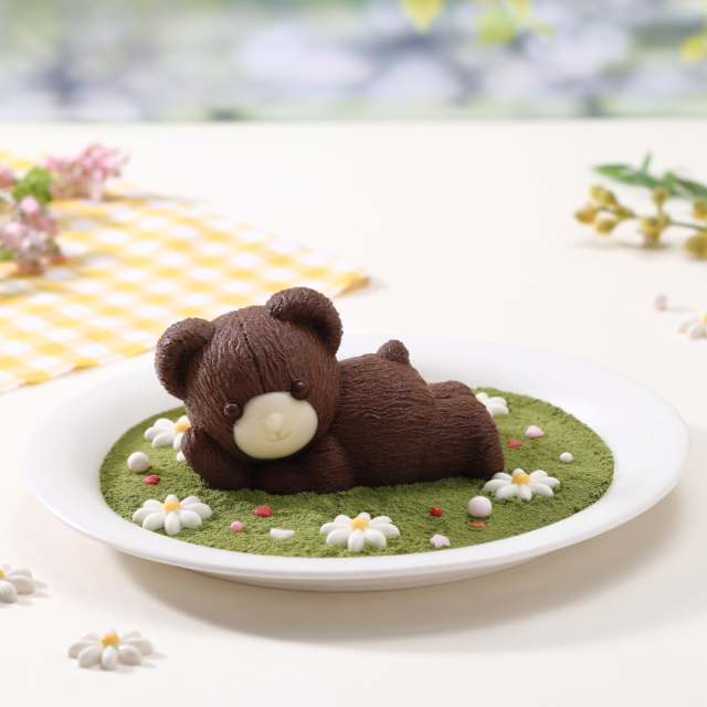 테디 초콜렛 케이크